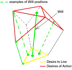 will is a dynamic link between the elements of our good