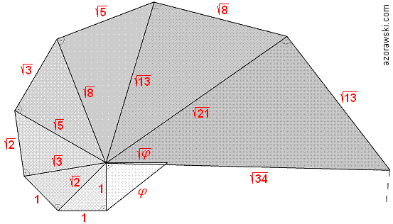 Spirala/muszla - związek z pierwiastkami kwadratowymi z liczb Fibonacciego